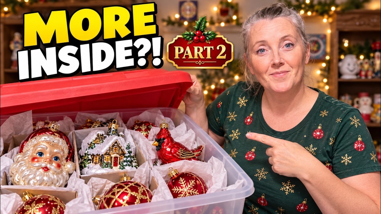 This Box of Christmas Ornaments Kept Surprising Us - YouTube