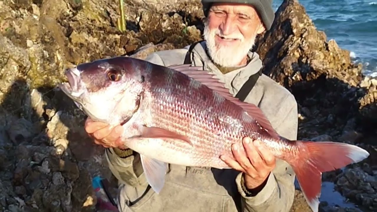 صراع مع سمكة الباجو من الحجم الكبيييير .🔥#tanger #fishing #maroc #maroc #صيد