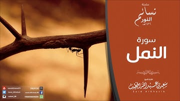 سورة النمل  للقارئ سعيد الخطيب
