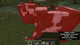 :   Minecraft  1
