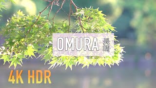 【4K HDR】Omura Park Nagasaki Japan（大村公園, 長崎）