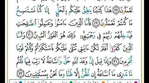 ختمة تلاوة لمصحف التجويد بصوت القارئ محمد حبش الصفحة رقم 501