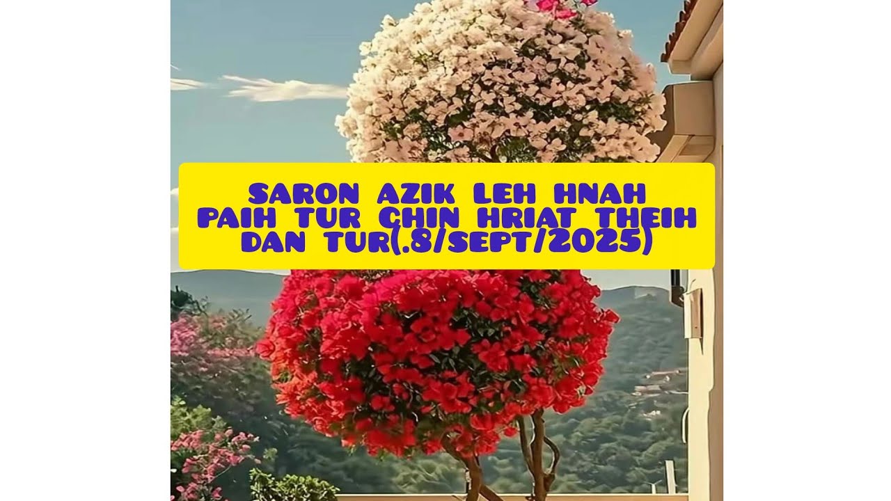 Saron hnah leh zik sih tur chin ka lo hrilh leh che u aw..sih ngaitawhlo hriat theihdan pawh aw