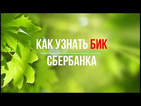 Как узнать БИК Сбербанка - инструкция