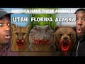 🇬🇧BRITS REACTS TO - The Deadliest Animal in Each US State!!