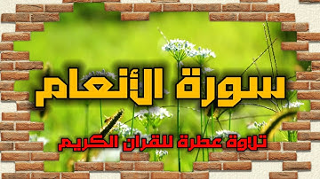 سورة الأنعام كاملة ومكتوبة،(استمع واقرأ) من اروع التلاوات واجمل الاصوات، نور للقلوب وتسهيل الامور
