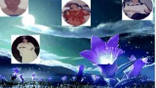 charm.avi