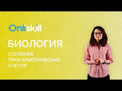 БИОЛОГИЯ 10 класс : Строение прокариотических клеток