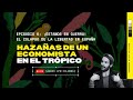 Hazañas de un economista en el trópico |Ep.6 ¡Estamos en guerra! El colapso de la libertad en España
