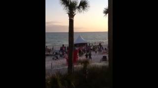 Parrot Head Party Jimmy Buffett
