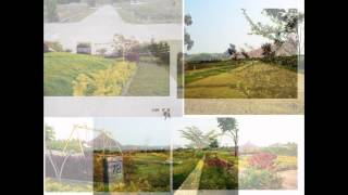 Ready 2 Construct -Lush Greenery Plots @ 1375/Sft- Mysore,Near Sathagali , 2 Km From Ring Road