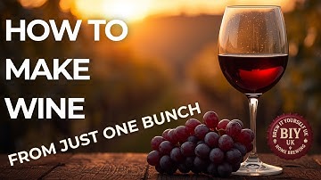 How to Make Wine From Just One Bunch of Grapes