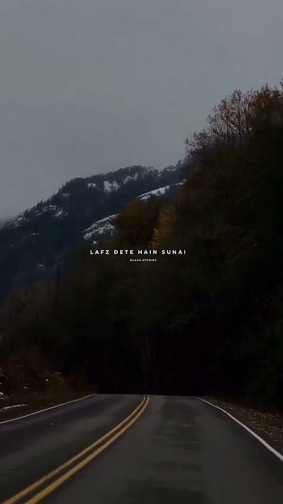Teri Yadon Mein Likhe Jo Lafz  Dete Hai Sunai || Tujhe Bhula Diya || Broken heart 💔 || #sadstatus