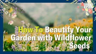 How to beautify your garden with Wildflower seeds