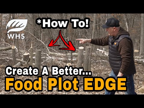 Create A Better Food Plot Edge