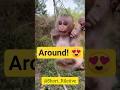 🐵 Cute Baby Monkey Hanging Around! 😍 !! #babymonkey #monkey #cuteanimals #animalshorts #shorts