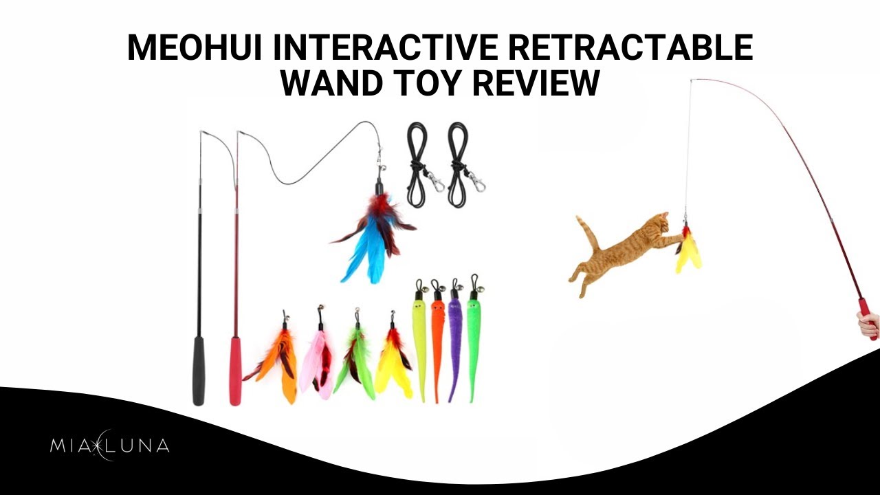 MeoHui Interactive Cat Toys – The BEST Wand Toy Ever?