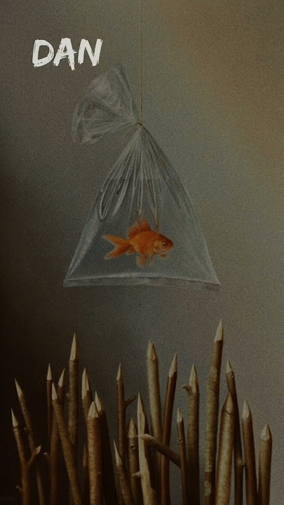 Dan bila esok #shorts #story #liriklaguindonesia #fypシ゚viral