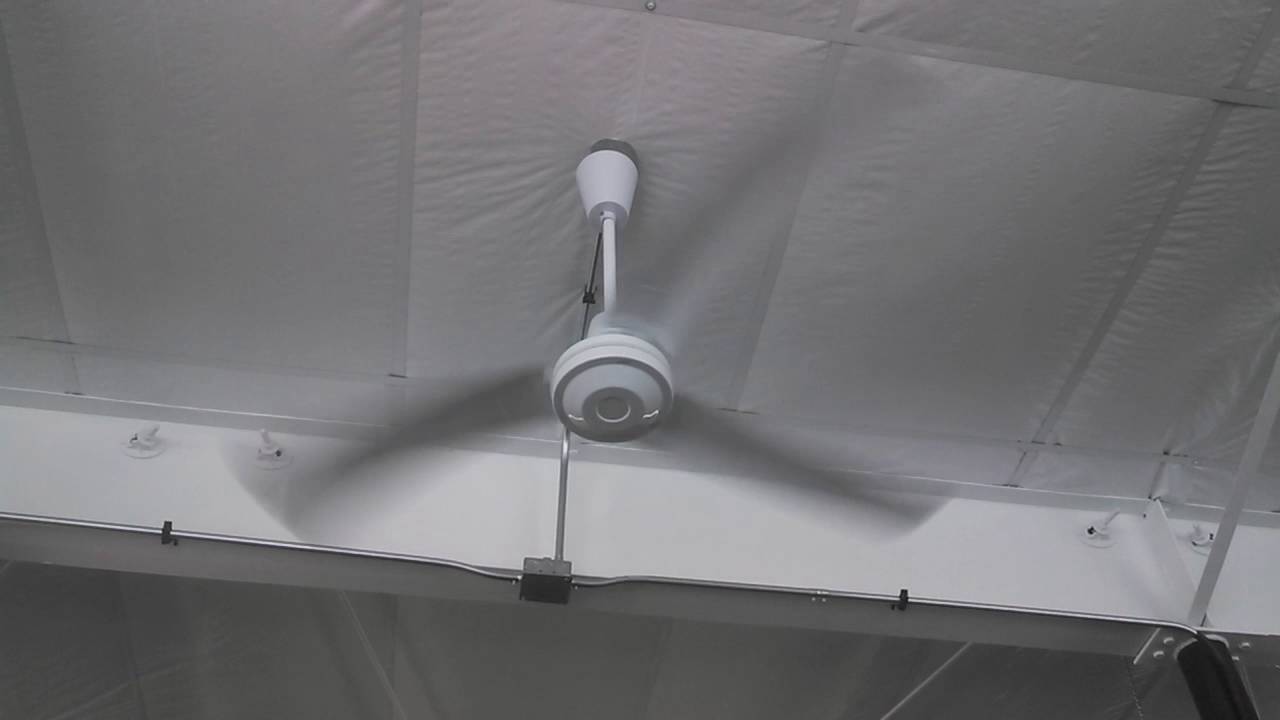 Dayton Leading Edge Industrial Commercial Ceiling Fans In A Thrift Store