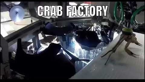 CRAB FACTORY