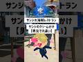 【USJ】サンレスにて、デザートのクリームかけも女性には丁寧で、男には雑なサンジ【ユニバ サンジの海賊レストラン】#USJ #ユニバ