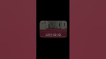 #قرآن كريم #راحة_نفسية 🩵 #سوره المؤمنون ❤️‍🩹