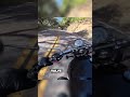 1200cc Engine Performance