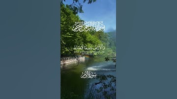 ماتيسر من سورة الزمر ب #تلاوة_خاشعة من #القران_الكريم #لايك #اكسبلور_explore