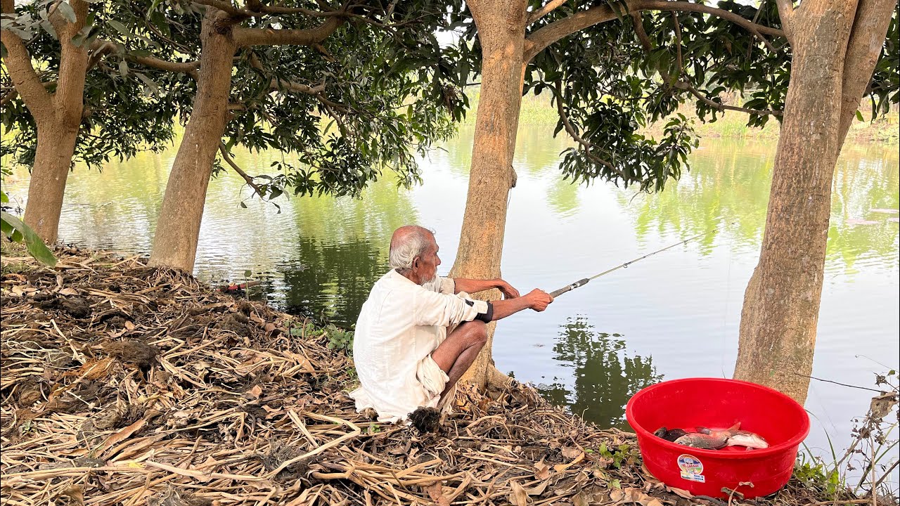 Fishing Video || Grandpa's new fishing techniques surprise everyone every day || Best hook fishing