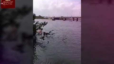 BẮT CÁ TRÊN SÔNG ĐÔ TỎA - ĐÀ NẴNG (Video by: Duymanhdo)