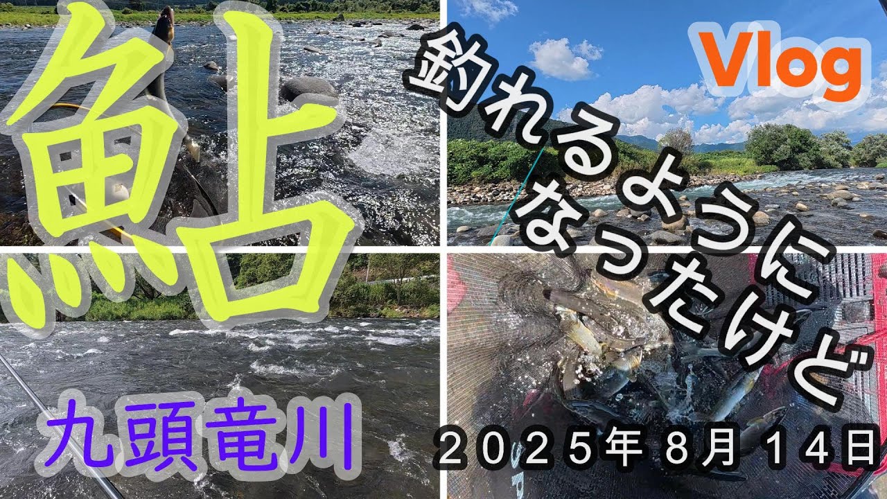 【九頭竜川】釣れるようになったけど・・・　２０２５．０８．１４