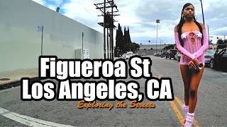 Figueroa St, Los Angeles, California, USA 🎥 Exploring the Streets - Ep. 7