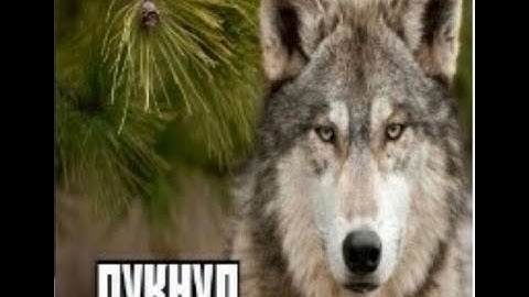 Awful glitchless CoF speedrun |  1:16:10