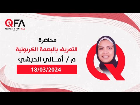 البصمة الكربونية للمهندسة أمانى الحبشى