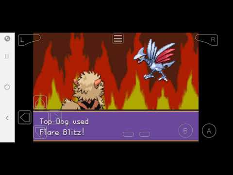 Using Ditto to defeat Gym Leader: Alice (Insane Difficulty Playthrough) :  r/PokemonUnbound