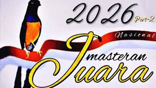 masteran murai batu 