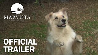 Cop Dog - Official Trailer - MarVista Entertainment 