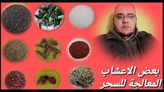 بالصور اليك افضل اعشاب الرقية المساعدة على الشفاء