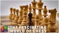 The Intriguing World of Chess ile ilgili video