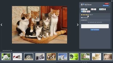 SocialMediaBox - for EasyDNNgallery and DotNetNuke