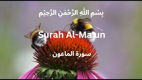107 | Surat Al-Ma'un (The Small Kindnesses) | Abdallah Abdal | سورة الماعون | Quran