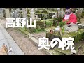 【わんこと高野山ぽ】お寺巡りしたら割と真剣に見学する愛犬の姿が可愛すぎた🐕🐾