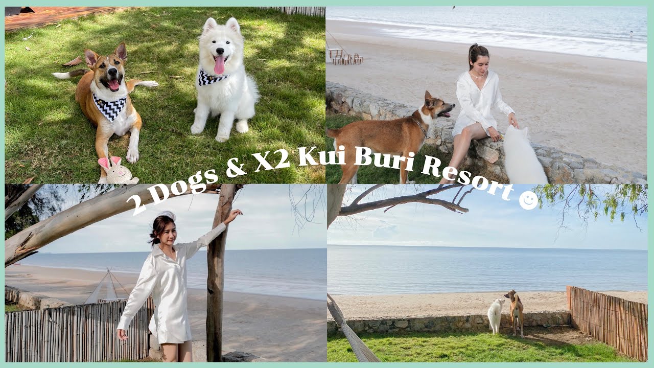 [ ขนมชานม ] 🐶🐻‍❄️🌈🌊 พาน้องหมาเที่ยวทะเล X2 Kui Buri Resort(PRIVATE AREA) | yokxea