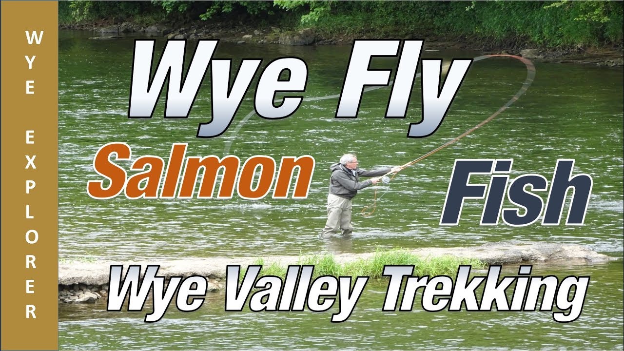 Salmon Fly Fishing River Wye Llandogo YouTube