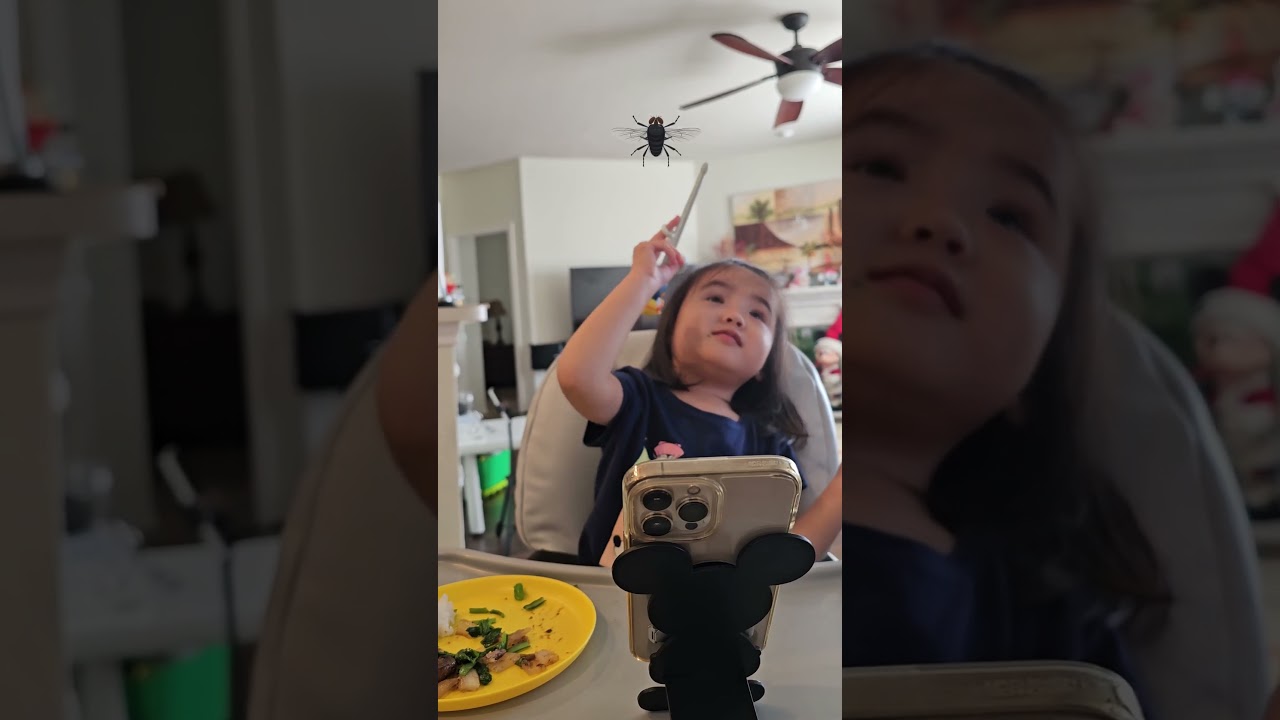 Catching A Fly With Chopsticks | The Karate Toddler 