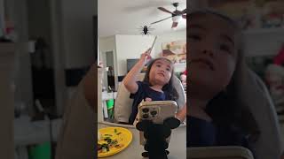 Catching A Fly With Chopsticks The Karate Toddler