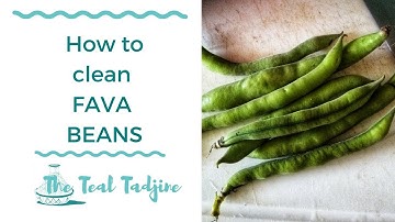 How to Clean and Cook with Fava Beans | Kitchen 101