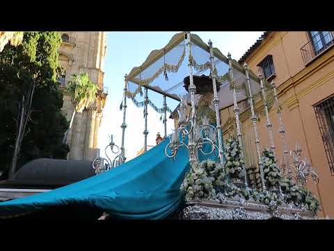 Antigua, Venerable Hermandad y Cofradía de Nazarenos de Nuestro Padre Jesús de la Soledad, Negaciones y Lágrimas de San Pedro, María Santísima del Dulce Nombre y San Francisco de Asís