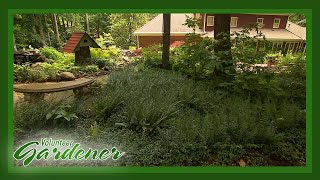Enchanting Garden Space | Volunteer Gardener