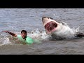 Shark attack on fishing boat  fun made great white shark attack part 6
